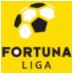 Slovak Super Liga