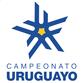 Liga AUF Uruguaya