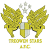 Treowen Stars