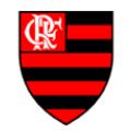 CR Flamengo (RJ) (Youth)