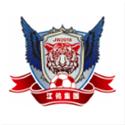 Wenzhou Professional