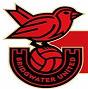 Bridgwater United (W)
