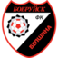 FC Belshina Babruisk
