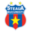 FCSB