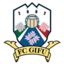 FC Gifu