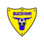 Bucovina Radauti