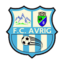 Avrig