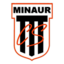 Minaur Baia Mare