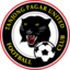 Tanjong Pagar Utd