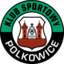 Gornik Polkowice