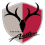 Kashima Antlers