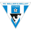 FK Graffin Vlasim