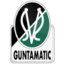 SV Ried