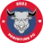 Parintins FC
