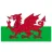 Wales U16
