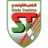 Stade tunisien