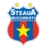 FCSB