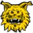 Ilves Tampere