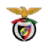 Penya Encarnada