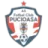 FC Pucioasa