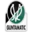 SV Ried