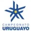 Liga AUF Uruguaya