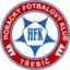 FS Trebic
