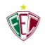 Fluminense PI (Youth)