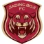 Ningbo Professional Football Club