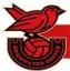Bridgwater United (W)