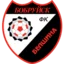FC Belshina Babruisk