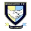 Berkhamsted Town