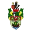 Runcorn Linnets