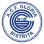 Universitatea Craiova