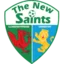 The New Saints