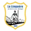 Linguere