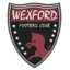 Wexford (Youth)