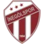 Inegolspor