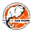 San Pedro FC