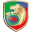 Miedz Legnica II