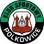 Gornik Polkowice