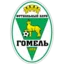 FC Gomel