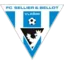 FK Graffin Vlasim