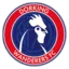 Dorking