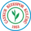 Caykur Rizespor