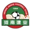 Henan Football Club