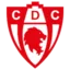 CD Copiapo S.A.
